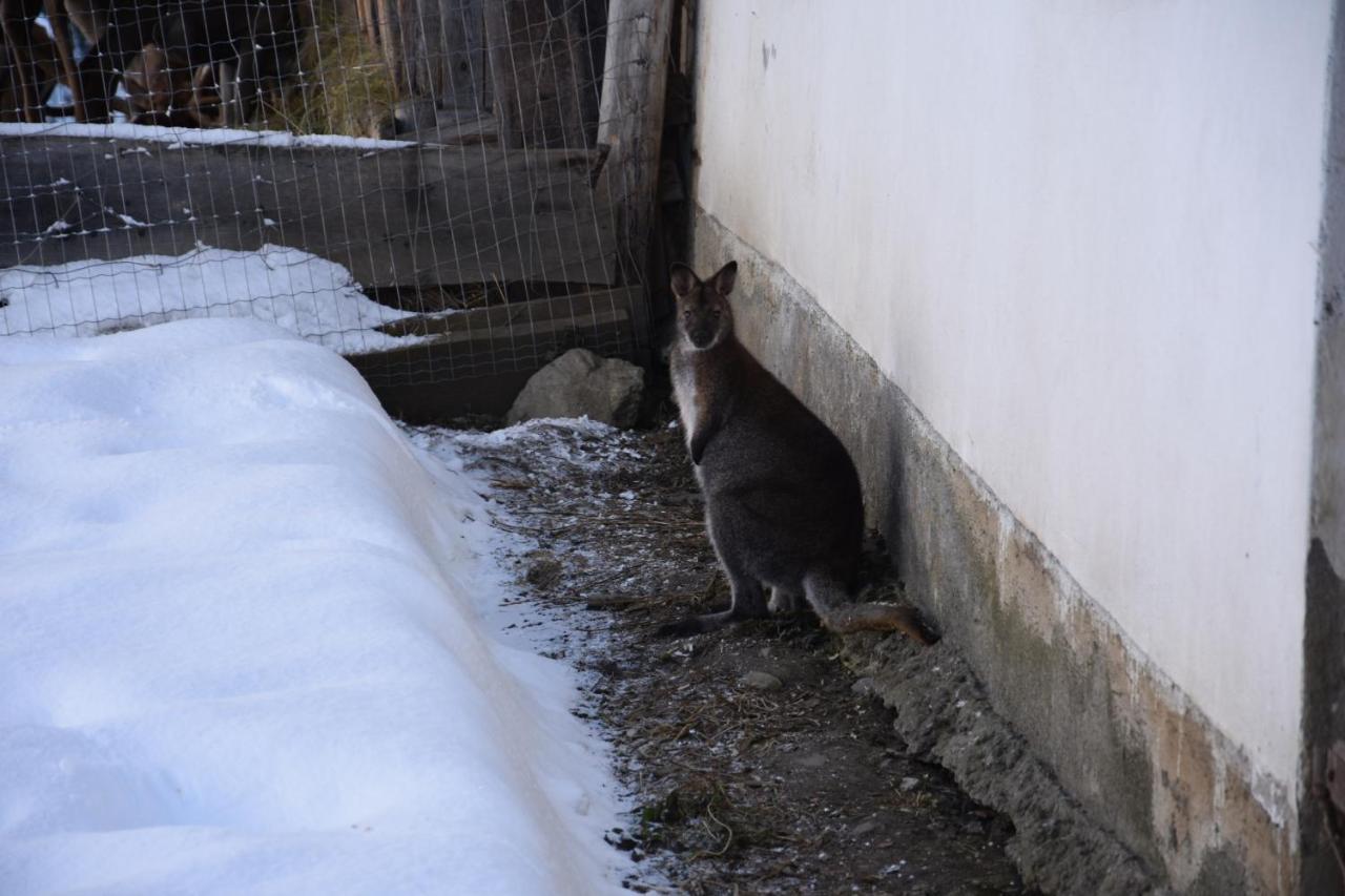 Apartment Krobath ムーラウ エクステリア 写真